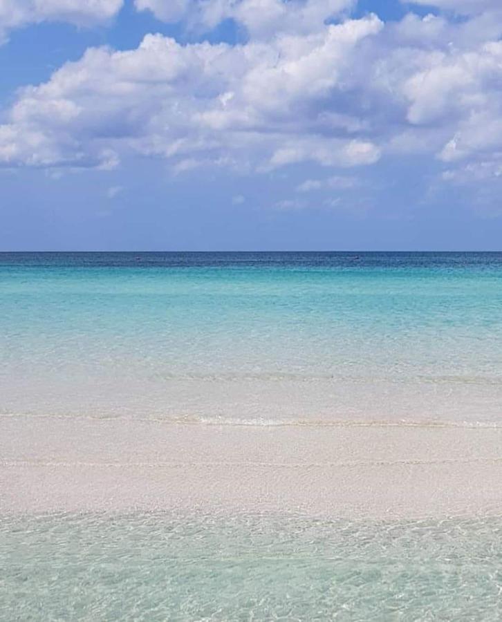 Manidibianco Apulian Relaxing Stay Турі Екстер'єр фото